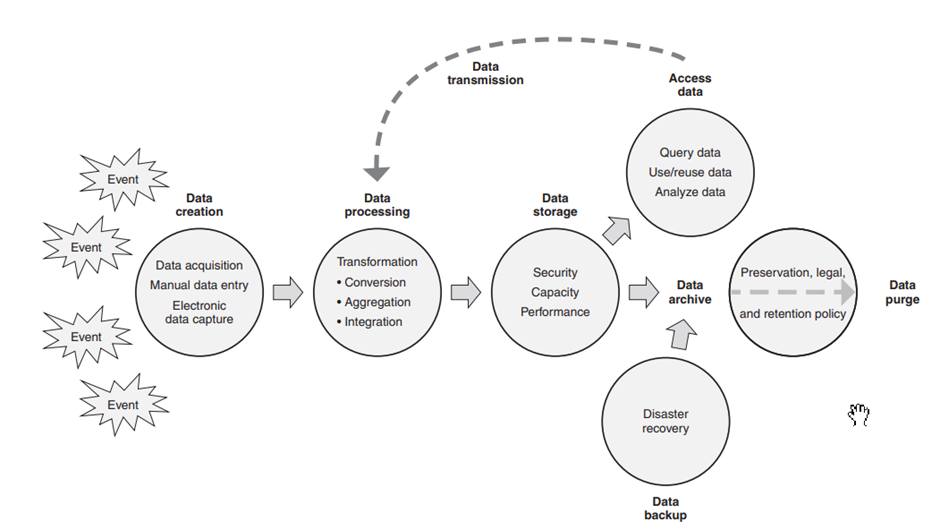 Data Lifecycle